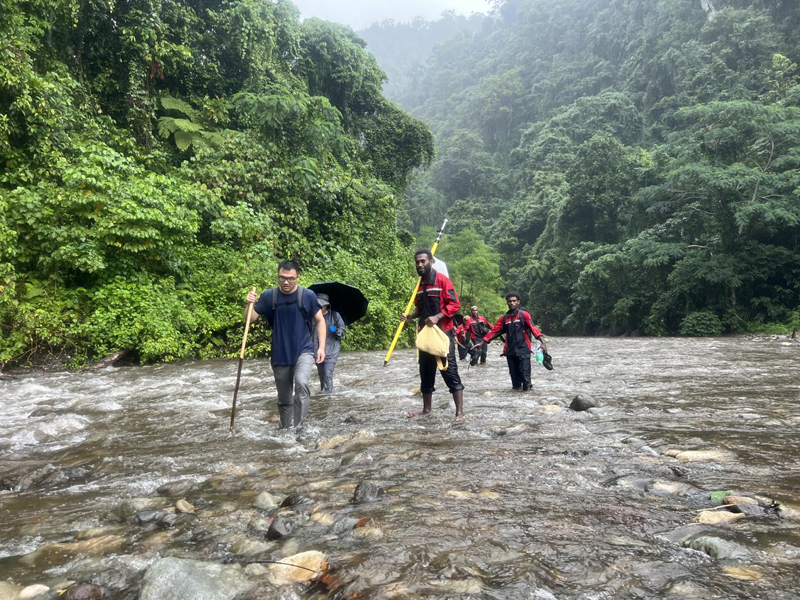 万水千山只等闲，践行六讲勇向前 ——所罗门金岭水电站项目勘察工作侧记
